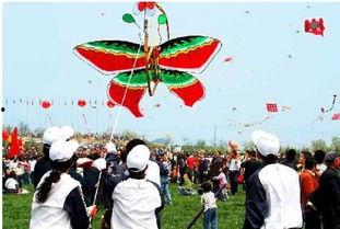 东岛风筝爆料视频,视频爆料背后的惊人真相